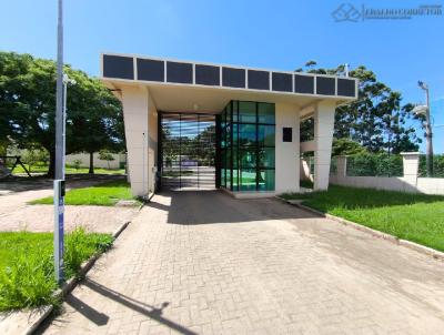 Terreno para Venda, em Florian�polis, bairro Ingleses do Rio Vermelho